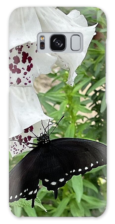 Butterfly Black White Flower Maroon Leaves Green Beige Wall Insect Galaxy Case featuring the digital art Happy Butterfly by Kathleen Boyles