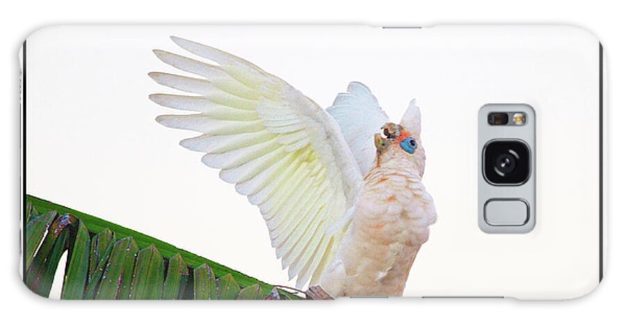 Corella Galaxy Case featuring the photograph Happy Corella 2 by Russell Brown