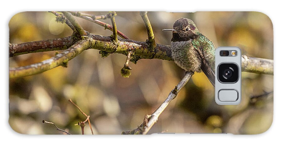 Bird Galaxy Case featuring the photograph Happy Hummer by Bob Cournoyer