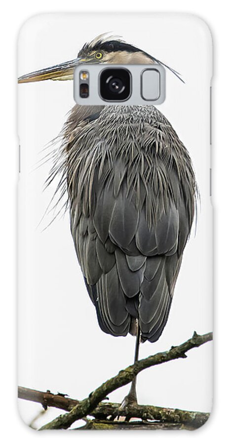 Heron Galaxy Case featuring the photograph Harold the Heron by Brian Shoemaker