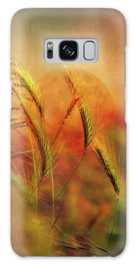 Photography Galaxy Case featuring the digital art Harvest Moon by Terry Davis