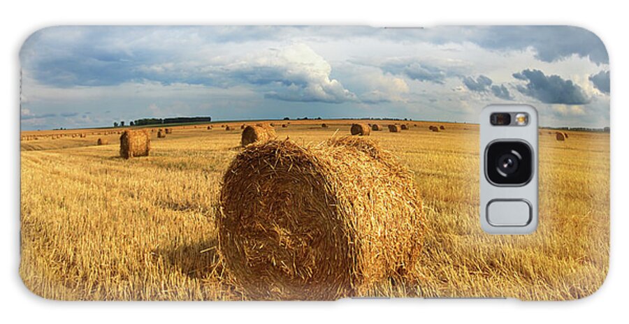 Field Galaxy Case featuring the photograph Harvested Bales Of Straw In Field by Mikhail Kokhanchikov