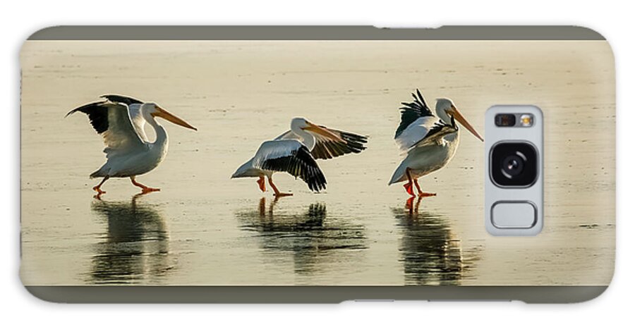 American White Pelican Galaxy Case featuring the photograph Heading South by Ray Silva