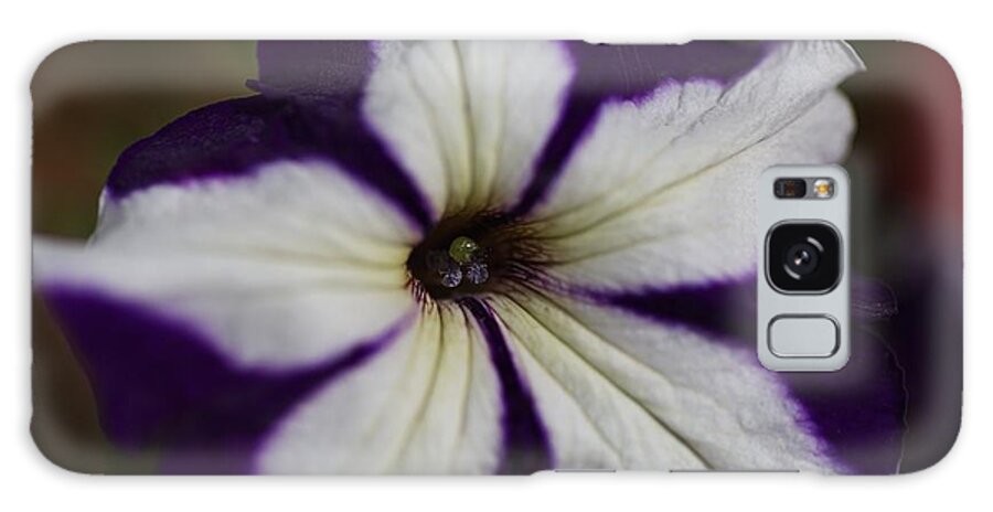 Petunia Galaxy Case featuring the photograph Hearts Of The Petunia by Joy Watson