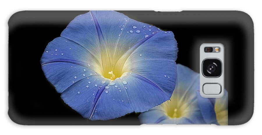 Morning Glories Galaxy Case featuring the photograph Heavenly Blues by Cheri Freeman