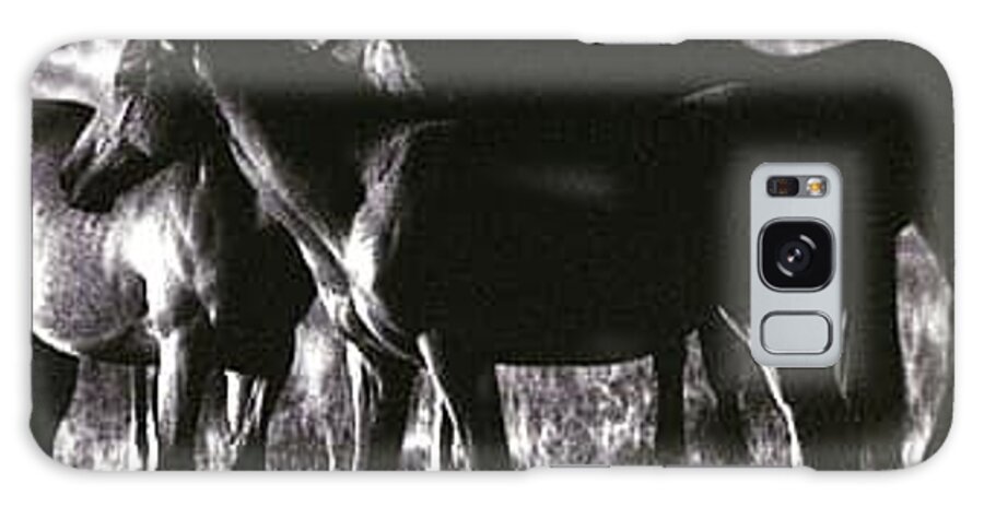 Horses Galaxy Case featuring the photograph Herd by Stephen Andersen