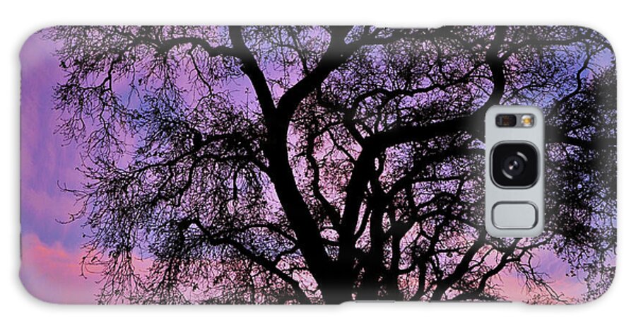 Heritage Oak Tree Galaxy Case featuring the photograph Heritage Oak Tree Sunset by Marilyn MacCrakin