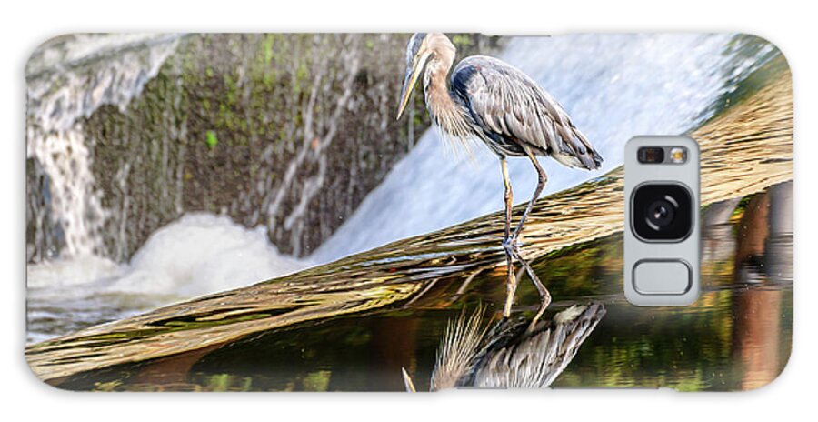 Great Blue Heron Galaxy Case featuring the photograph Heron Reflection at Sunset by Ilene Hoffman