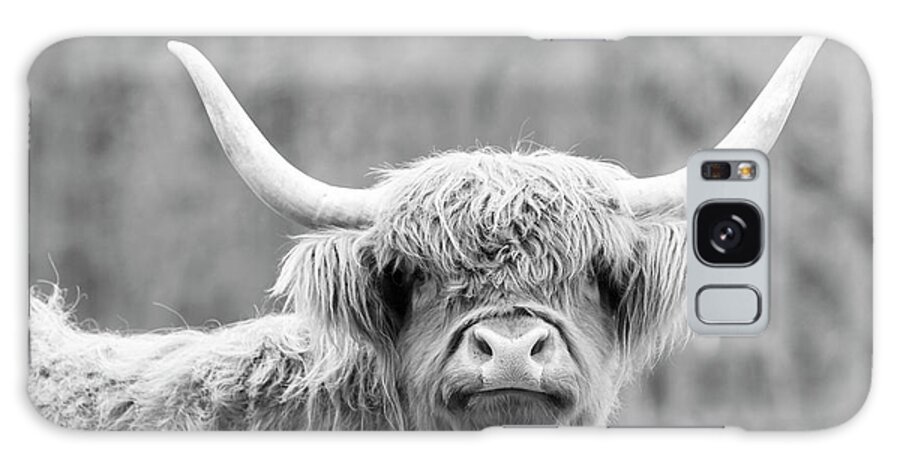 Cow Galaxy Case featuring the photograph Highland Coo by Holly Ross