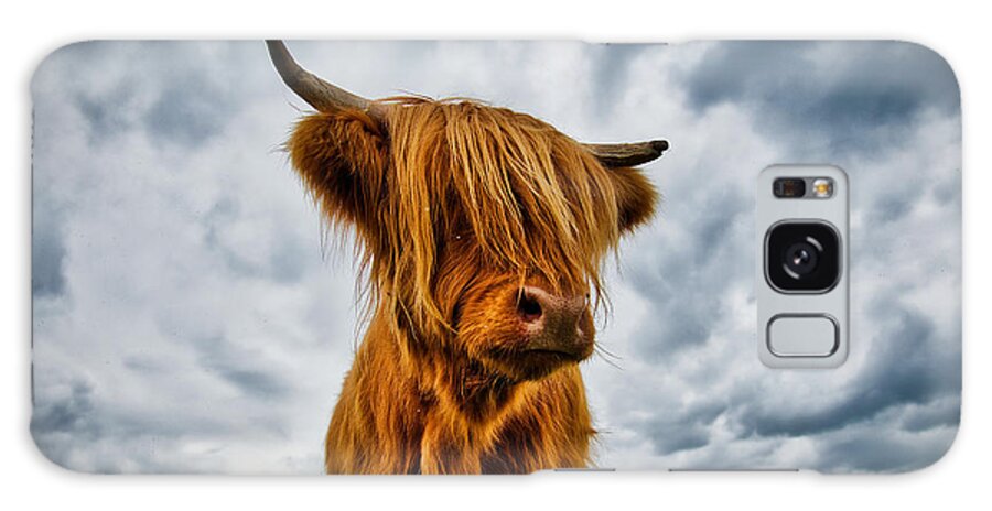 Scotland Galaxy Case featuring the photograph Highland Cow - Scotland by Stuart Litoff