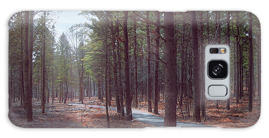 Pines Galaxy Case featuring the photograph Hike Through the Pines by Scott Norris