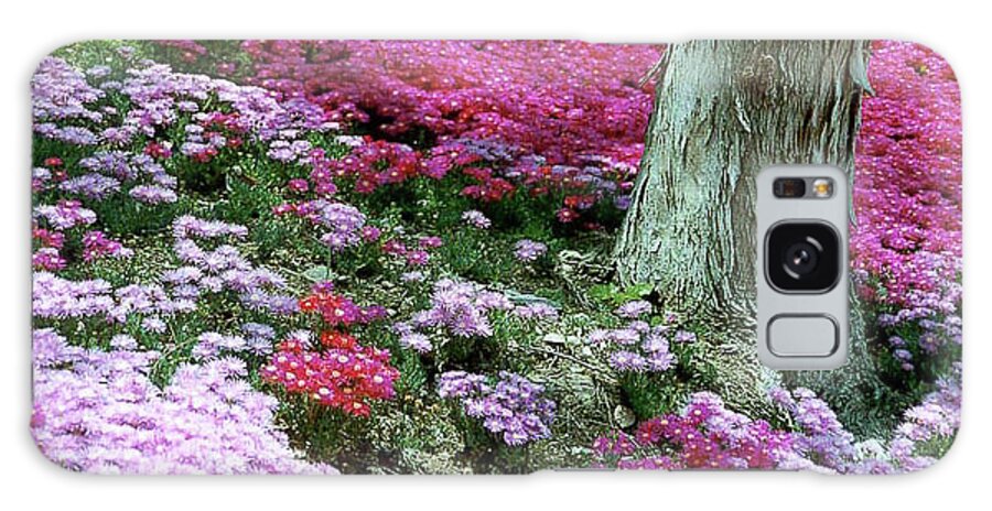 Flowers Galaxy Case featuring the photograph Hillside El Nino Color by Bonnie Colgan