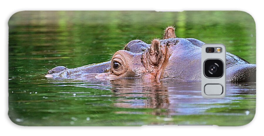 Animal Galaxy Case featuring the photograph Hippo in water by Ed Stokes