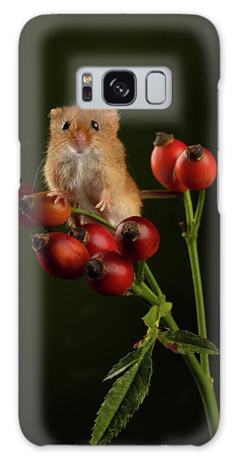 Harvest Galaxy Case featuring the photograph Hm-0498 by Miles Herbert