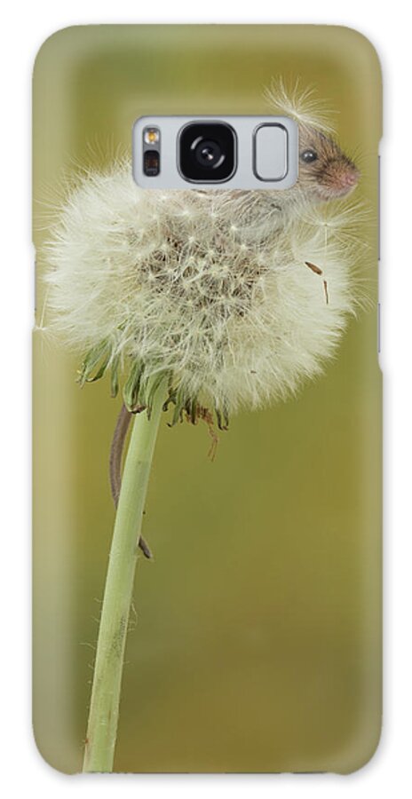 Harvest Galaxy Case featuring the photograph Hm-7426 by Miles Herbert