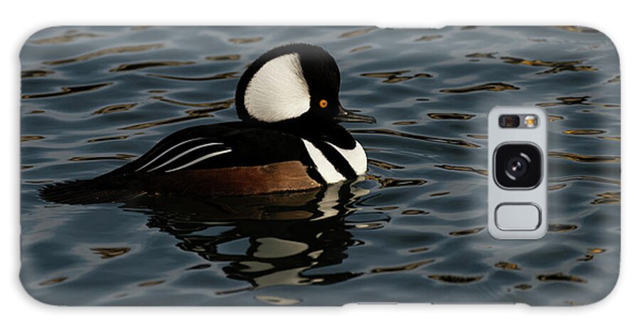 Animals And Wildlife Galaxy Case featuring the photograph Hooded Merganser duck floating by JT Lewis