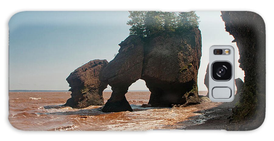 Rocks Galaxy Case featuring the photograph Hopewell Rock Heads by Lieve Snellings
