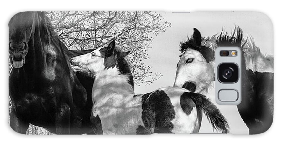 Adorable Galaxy Case featuring the photograph Horse Family - BnW by Umberto Barone