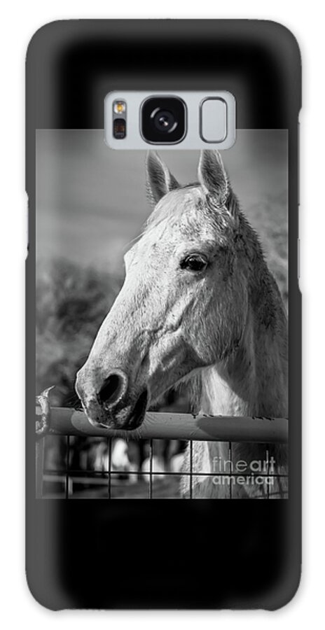 Horse Portrait Galaxy Case featuring the photograph Horse Portrait in Black and White by Imagery by Charly