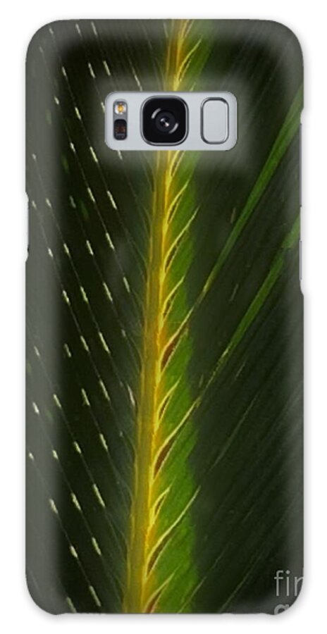 Palm Galaxy Case featuring the photograph Hosanna by Tiesa Wesen