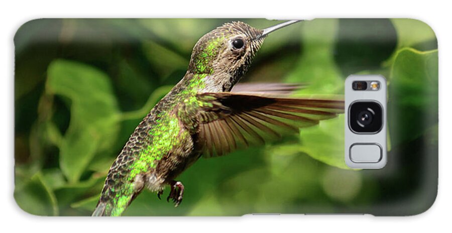 Wildlife Galaxy Case featuring the photograph Hummer Bug Hunter by Brian Tada