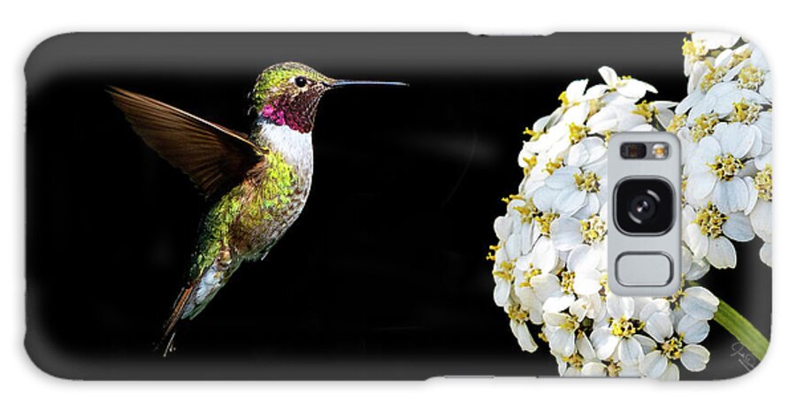 Hummingbirds Galaxy Case featuring the photograph Hummingbird with Flower by Judi Dressler