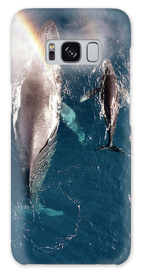 Humpback Galaxy Case featuring the photograph Humpback Spout Rainbow by Christopher Johnson