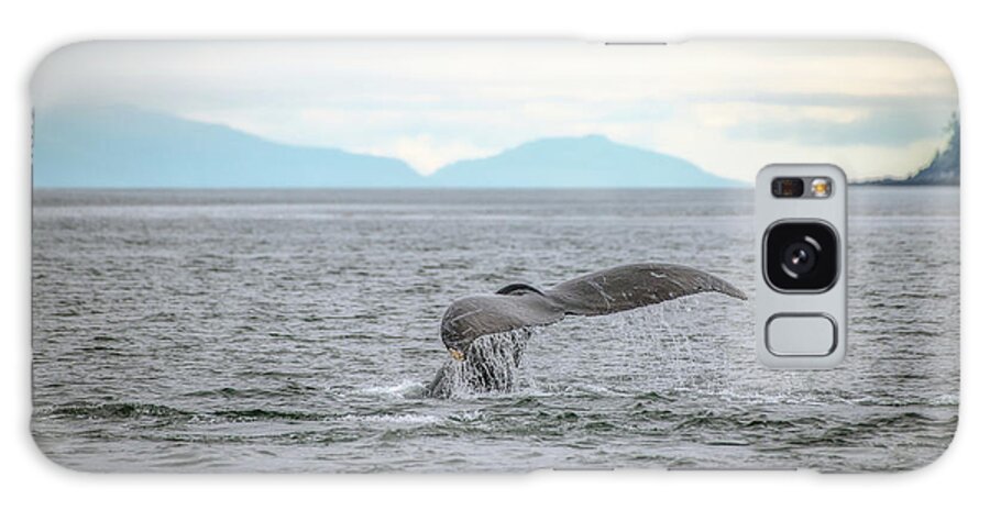 Brown Galaxy Case featuring the photograph Humpback Whale Showing Off by Robert J Wagner