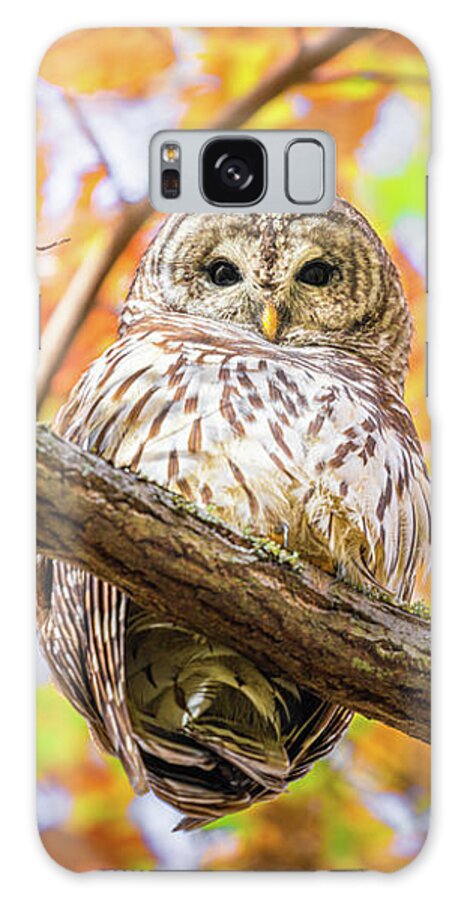 Barred Owl Galaxy Case featuring the photograph I See You by Jordan Hill