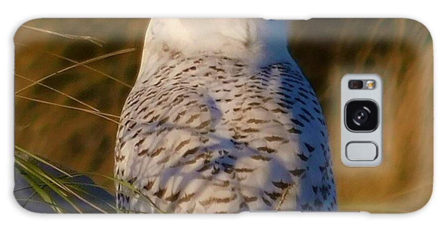 - I Still See You - Snowy Owl Galaxy Case featuring the photograph - I still see you - Snowy Owl by THERESA Nye