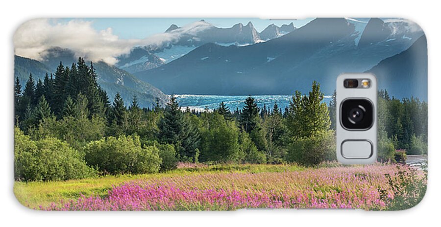 Fireweed Galaxy Case featuring the photograph Ice over Fireweed by David Kirby