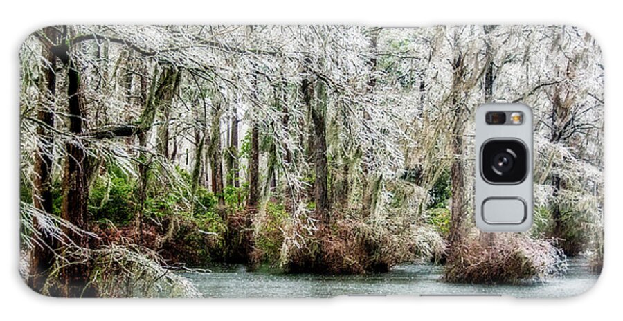 Ice Storm Galaxy Case featuring the photograph Ice Storm in The Swamp by WAZgriffin Digital