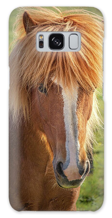 Icelandic Horse Galaxy Case featuring the photograph Icelands Special Breed of Horses by Rebecca Herranen