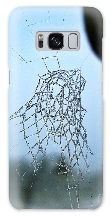 Spiderweb Galaxy Case featuring the photograph Icy Spiderweb by Ramona Matei