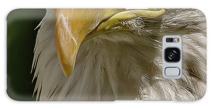 American Bald Eagle Galaxy Case featuring the photograph In Command by Yeates Photography