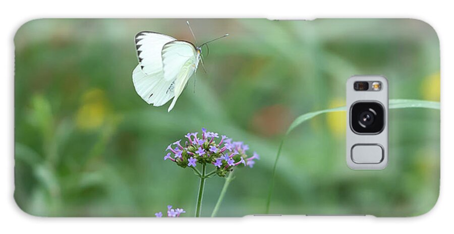Butterfly Galaxy Case featuring the photograph In Flight by Cathy Donohoue