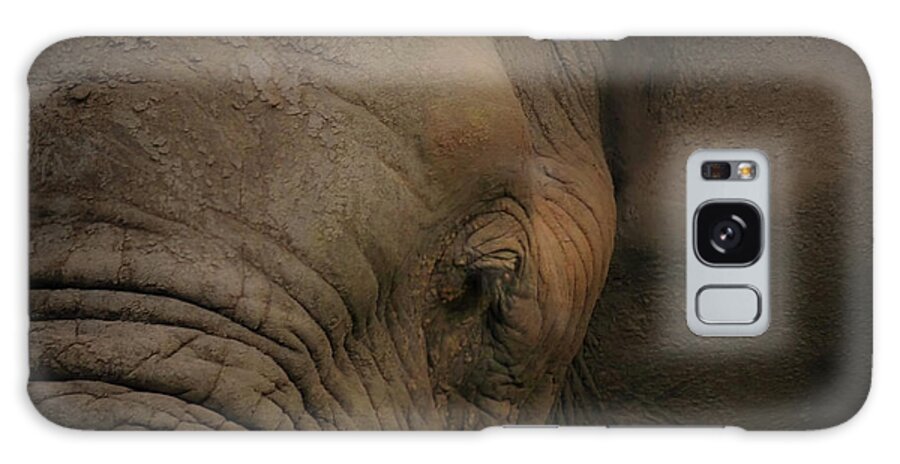 Elephant Portrait Galaxy Case featuring the photograph In the Face of Danger by Rebecca Herranen