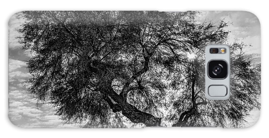 Scene Galaxy Case featuring the photograph In the shade of a large tree by The P
