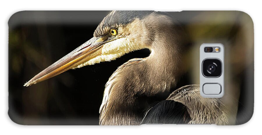 Herons Galaxy Case featuring the photograph In The Shadows by Jamie Pattison