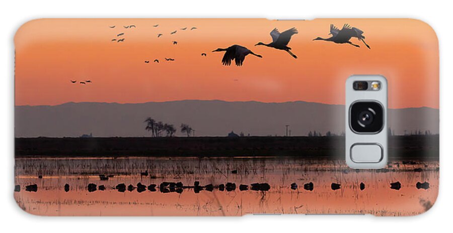 Lodi Galaxy Case featuring the photograph Incoming by Laura Macky