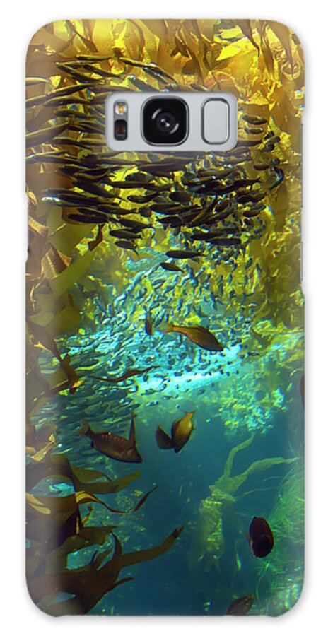 Fish Galaxy Case featuring the photograph Inside The Kelp Forest by Bonnie Follett