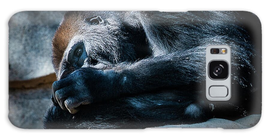 Animals Galaxy Case featuring the photograph Insomnia by David Levin