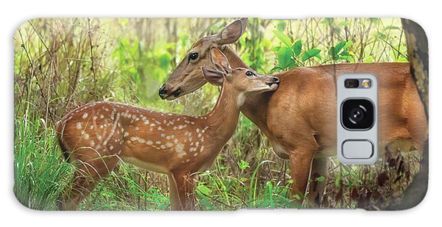Deer Galaxy Case featuring the photograph Intimate Wildlife A Mother Deer and Fawn in Riverbend Park Jupit by Kim Seng