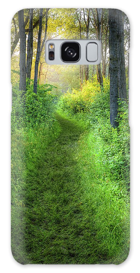 Path Galaxy Case featuring the photograph Into the Light by Brad Bellisle