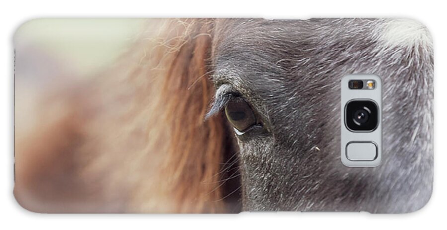 Horse Galaxy Case featuring the photograph Into the Soul by Holly Ross