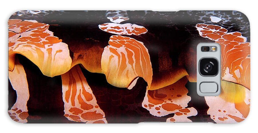 Oyster Galaxy Case featuring the photograph Intricate invertebrate by Artesub
