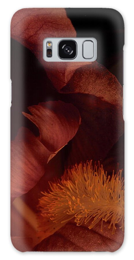 Flower Galaxy Case featuring the photograph Iris 0232 by Julie Powell