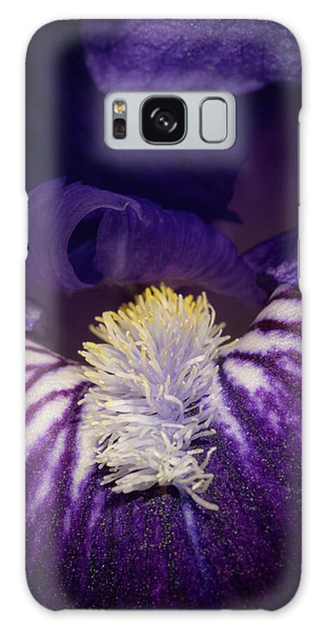 Cibola National Forest Galaxy Case featuring the photograph Iris Delight by Maresa Pryor-Luzier