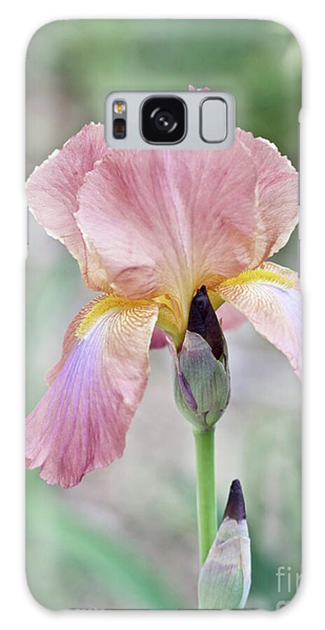 Iris Galaxy Case featuring the photograph Iris Multicolor No. 4974 by Sherry Hallemeier