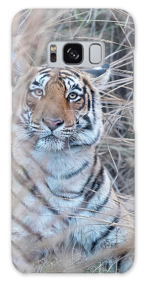 Tiger Galaxy Case featuring the photograph It is OK to come a little bit closer - Tigress by Puttaswamy Ravishankar